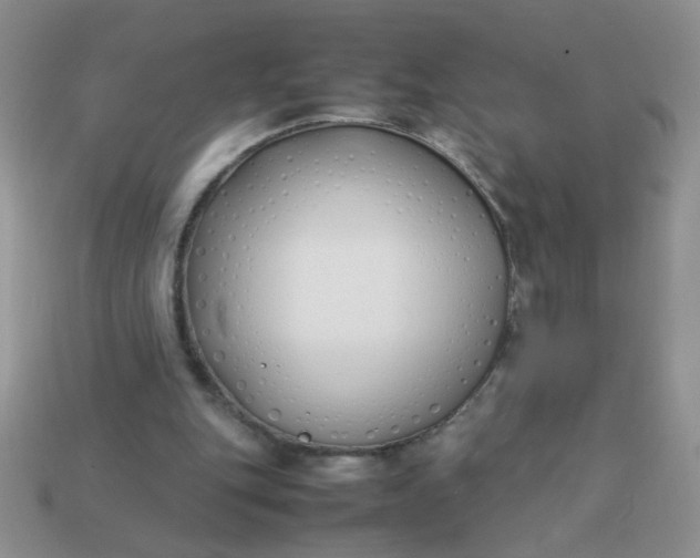 X0000113030151200909101904