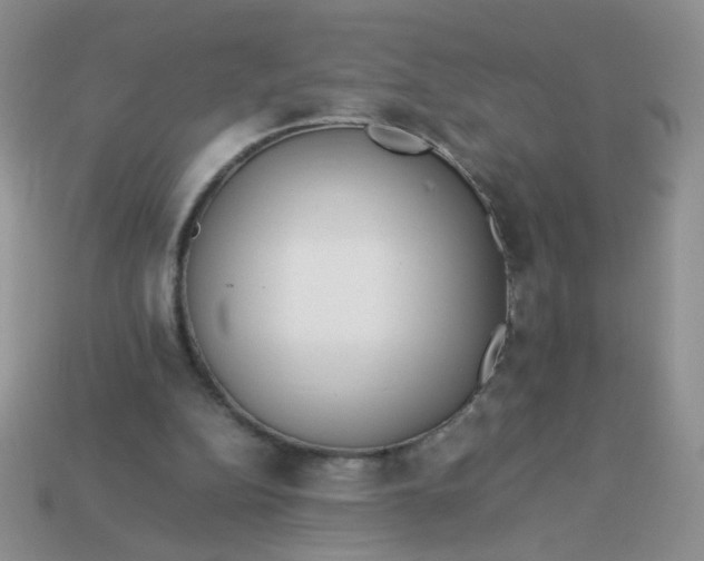 X0000113030152200909101905