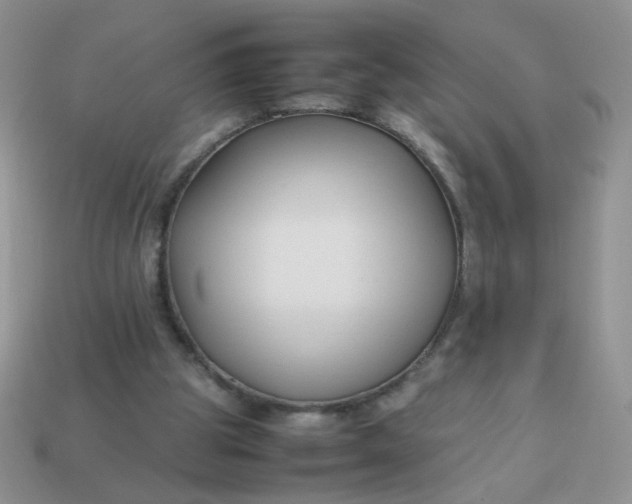 X0000113030153200909101905