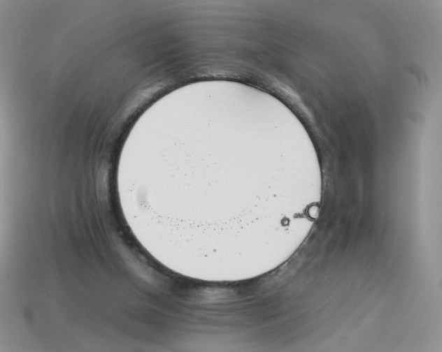 X0000113030154200909101905