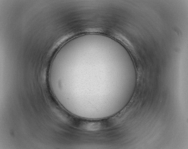 X0000113030155200909101905