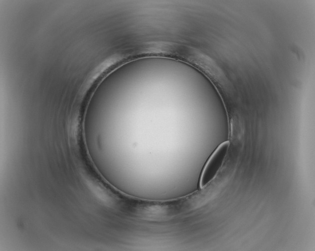 X0000113030156200909101905