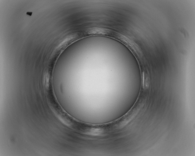 X0000113030157200909101905