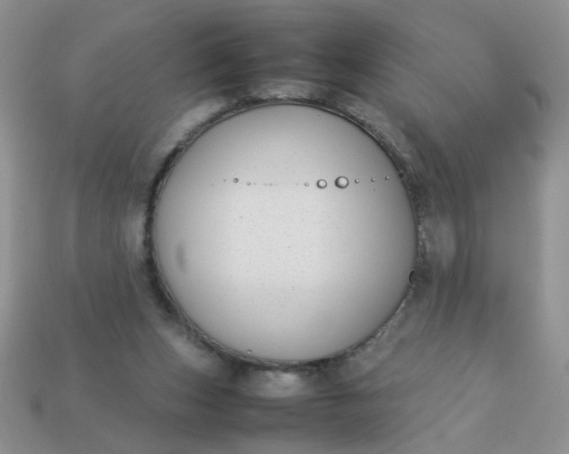 X0000113030159200909101905