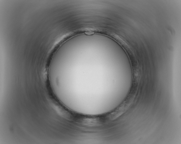 X0000113030160200909101905