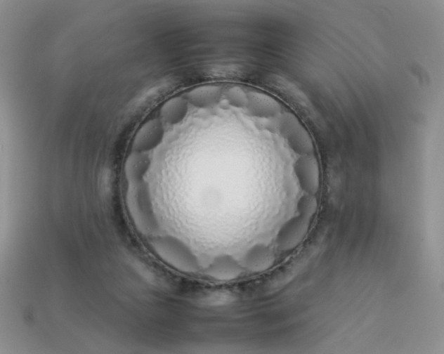 X0000113030161200909101905