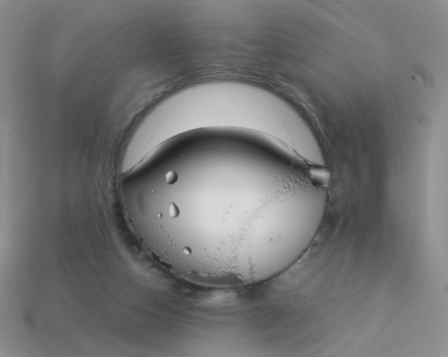 X0000113030162200909101905