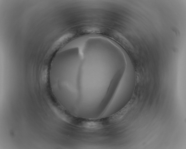 X0000113030163200909101905