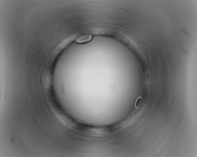 X0000113030164200909101905