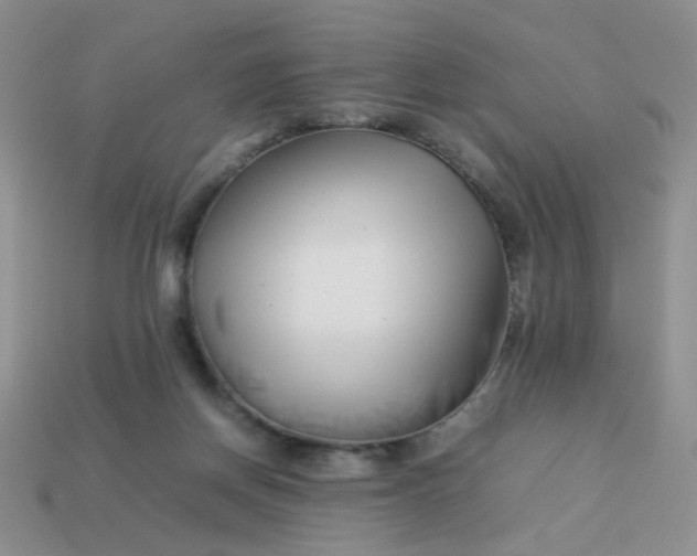 X0000113030166200909101905