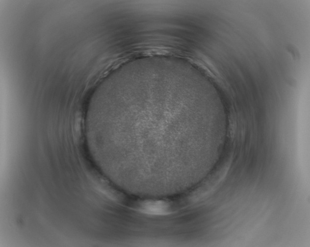 X0000113030169200909101905