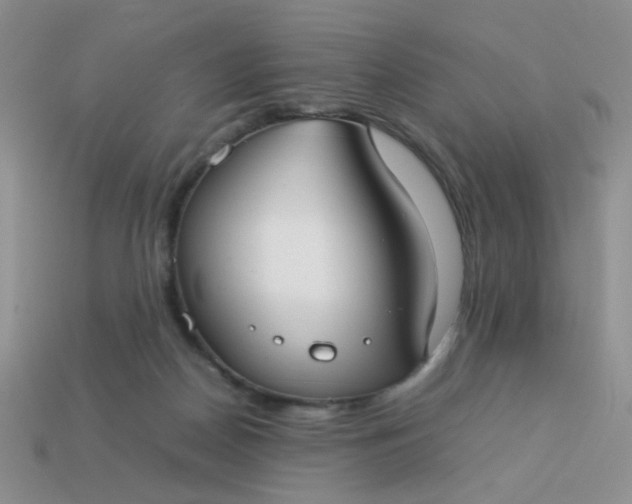 X0000113030170200909101905