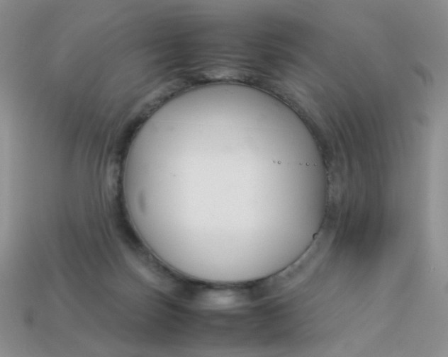 X0000113030171200909101905