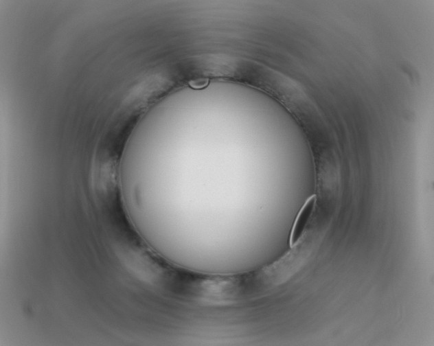 X0000113030172200909101905