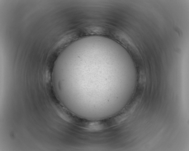 X0000113030173200909101905