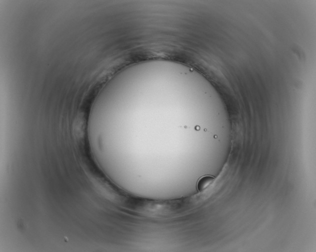 X0000113030174200909101905