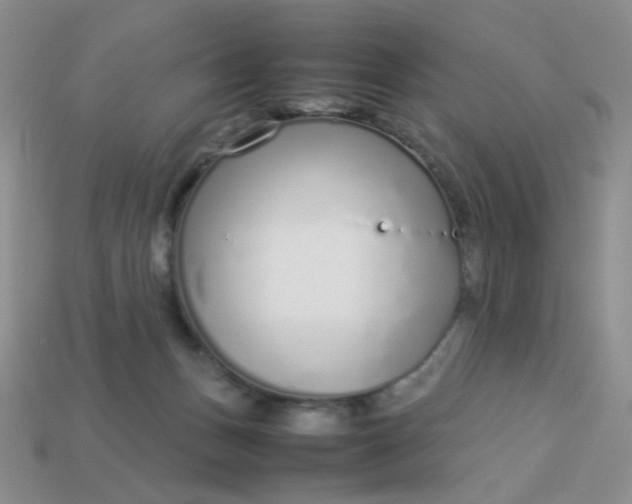 X0000113030175200909101905