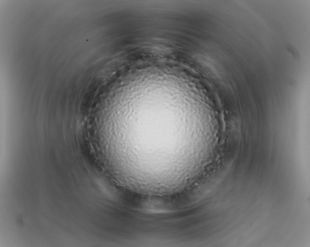 X0000113030177200909101905