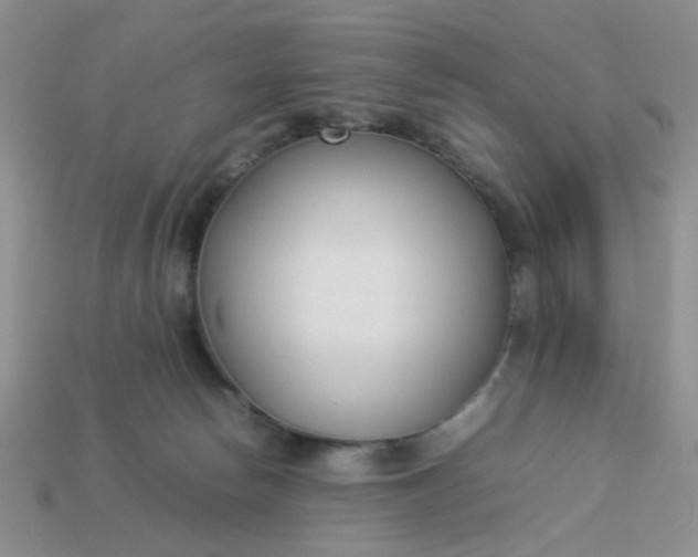 X0000113030178200909101905