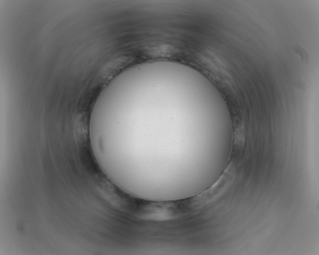 X0000113030179200909101905