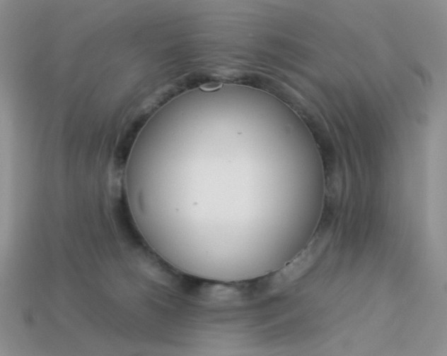 X0000113030180200909101905