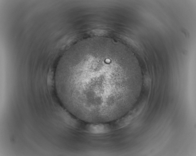 X0000113030181200909101905