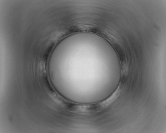 X0000113030182200909101905