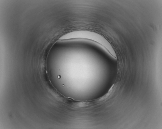 X0000113030184200909101905