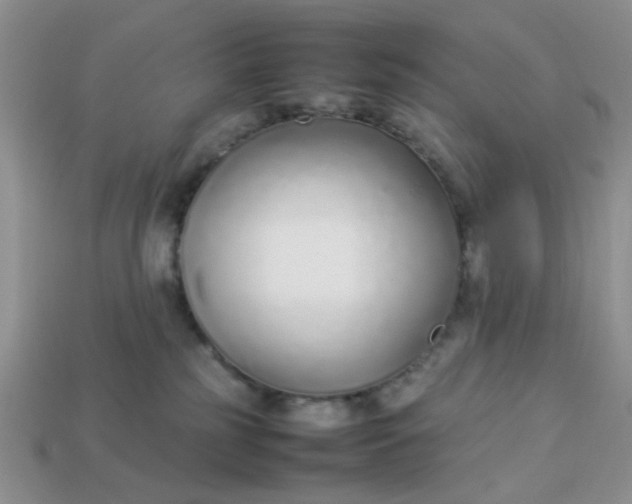 X0000113030185200909101905