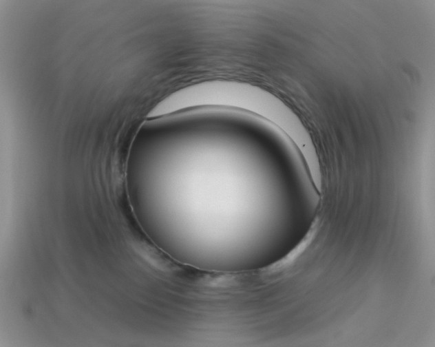 X0000113030186200909101905