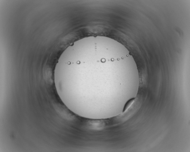 X0000113030187200909101905