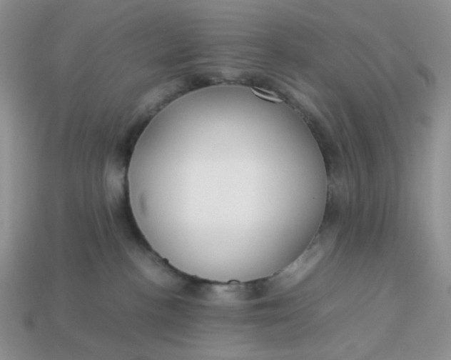 X0000113030188200909101905