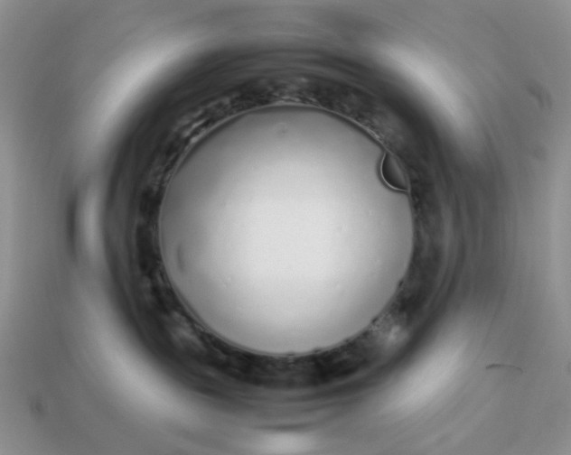 X0000113030189200909101905