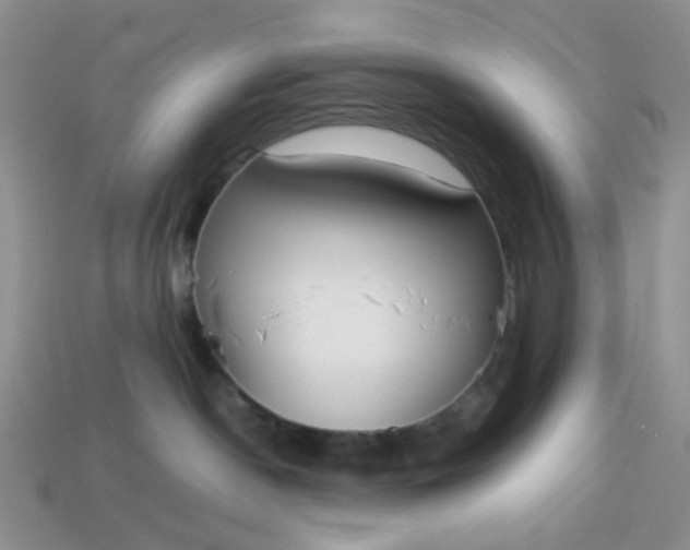 X0000113030190200909101905