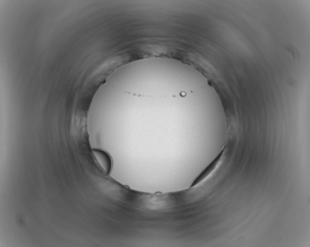 X0000113030191200909101905