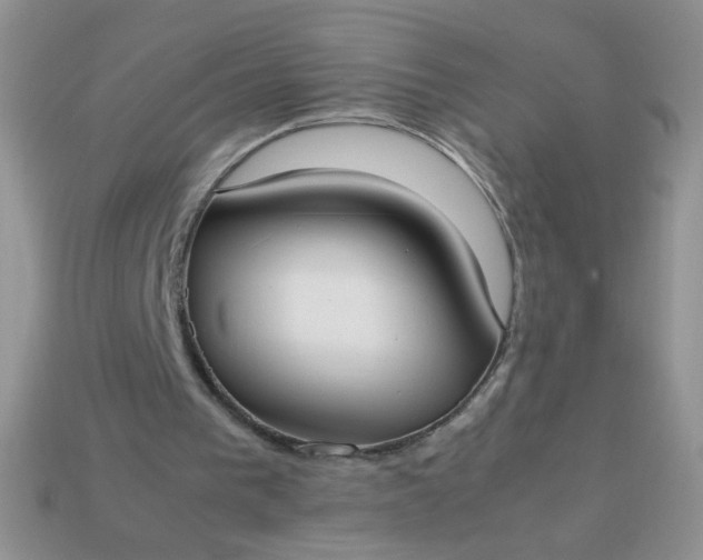 X0000113030193200909101904