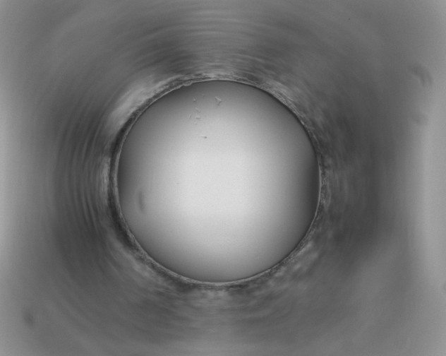 X0000113030194200909101904