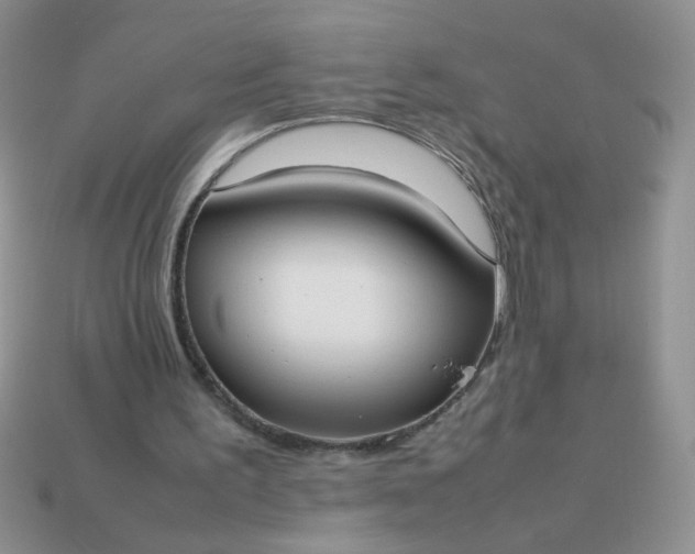 X0000113030195200909101904