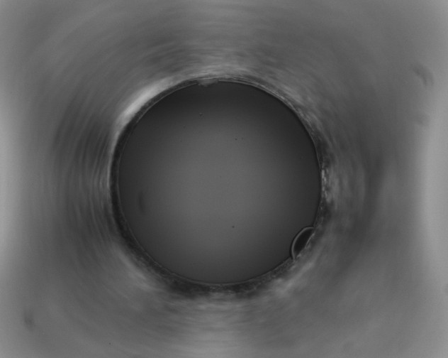 X0000113030196200909101904