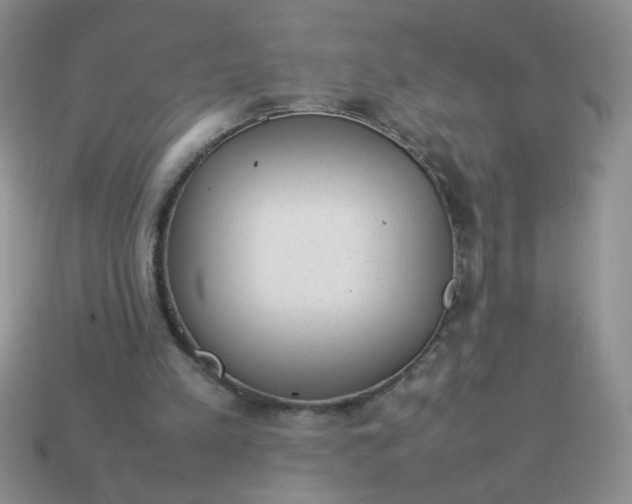 X0000113030197200909101904