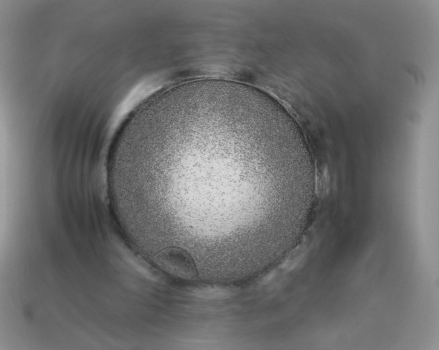 X0000113030198200909101904