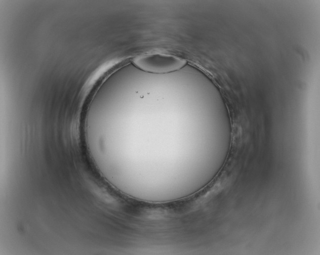 X0000113030200200909101904