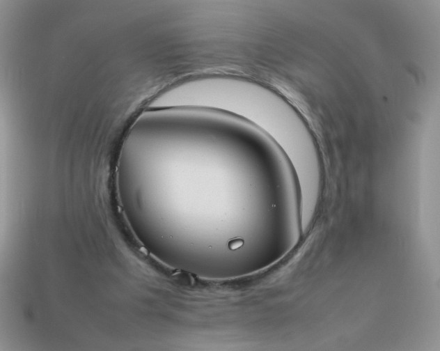 X0000113030201200909101904