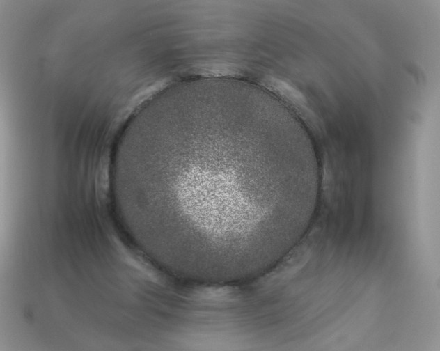 X0000113030202200909101904