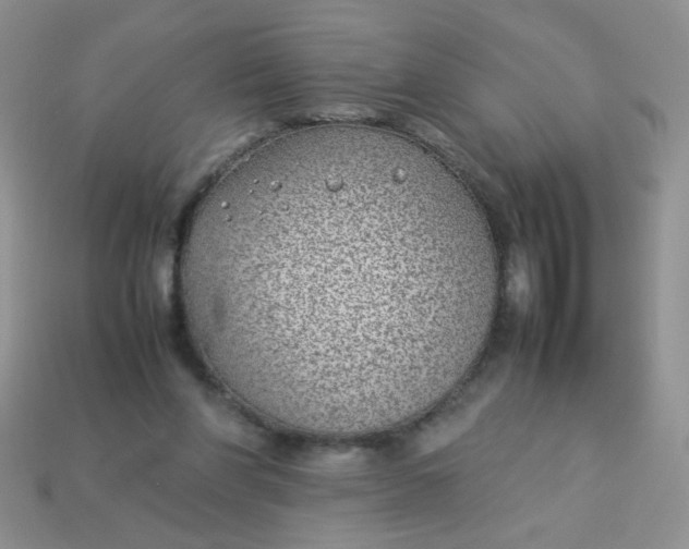 X0000113030206200909101904