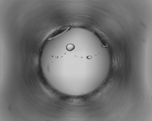 X0000113030208200909101904