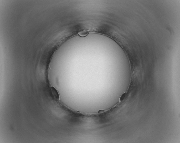 X0000113030209200909101904