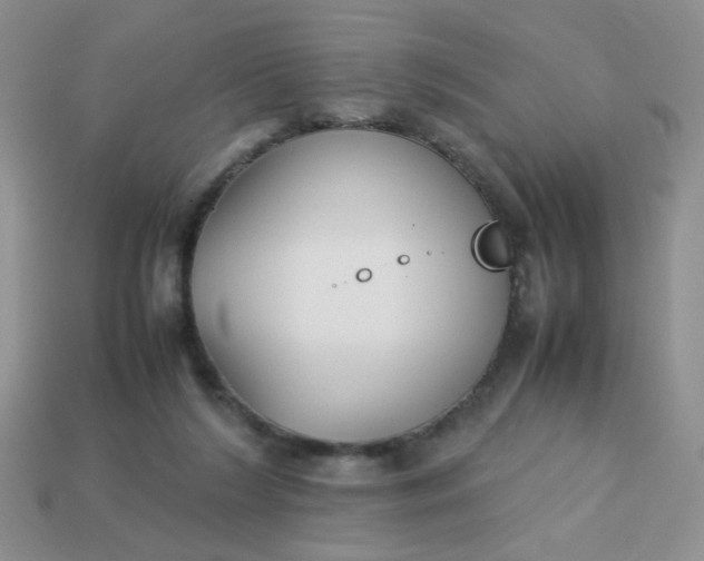 X0000113030212200909101904