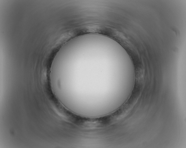 X0000113030213200909101904