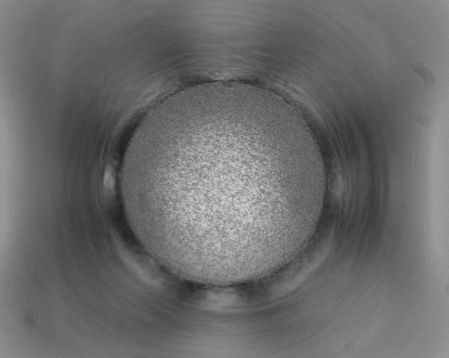 X0000113030214200909101904